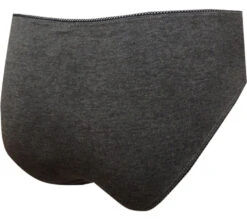 The Legend Of Zelda Hylian Shield Bikini Panty(The Legend Of Zelda Hylian Shield Bikini Panty) -Cozy Vibes Store ws17043uw 2 896a07be 1a20 41b5 90e1 1a4ef3859592